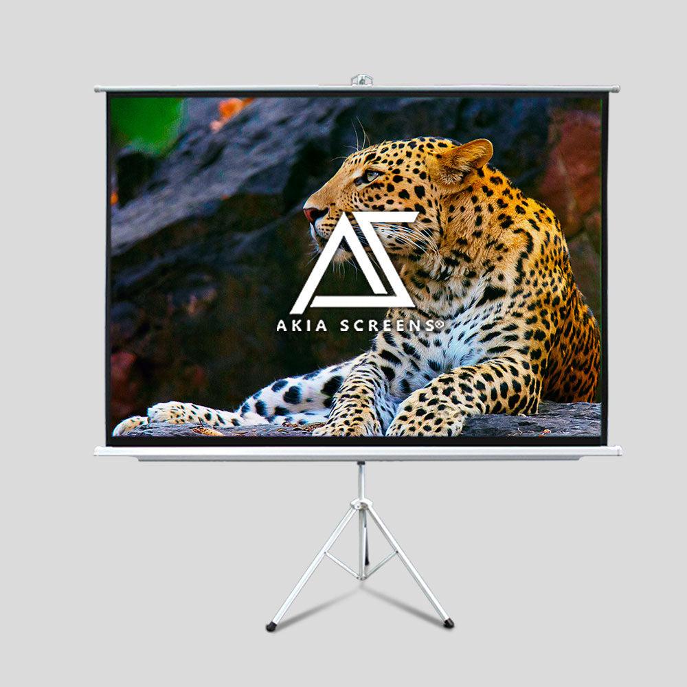 Portable Projector Screens