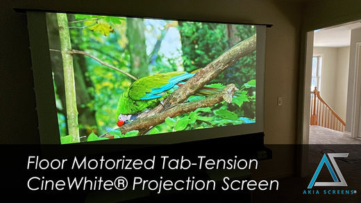 Floor Motorized Tab-Tension Projection Screen - The Future of Home Entertainment