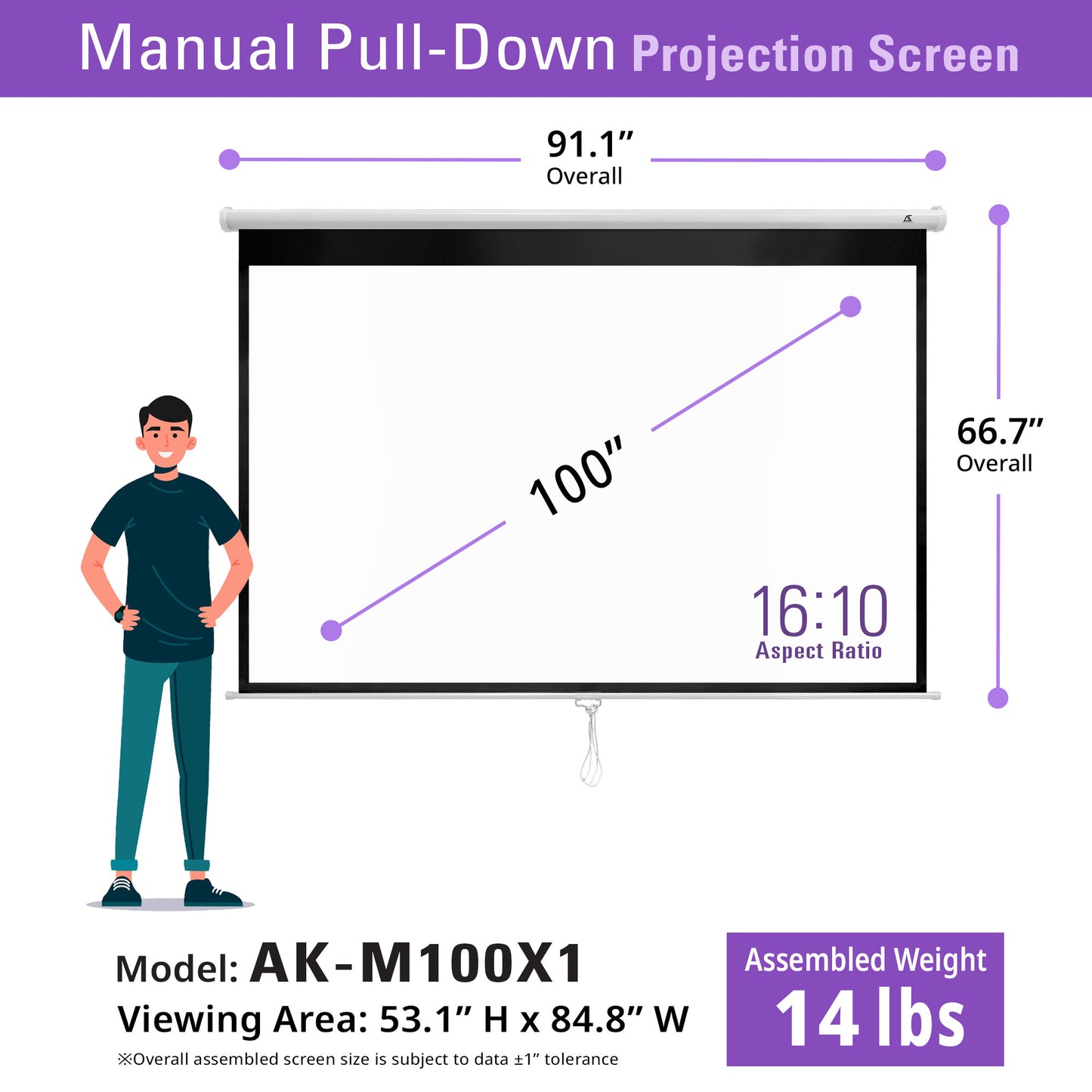 Manual Series, Manual Pull Down 8K 4K Ultra HD 3D Ready Movie Theater/Home Theater Projector Screen