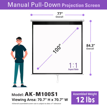 Manual Series, Manual Pull Down 8K 4K Ultra HD 3D Ready Movie Theater/Home Theater Projector Screen