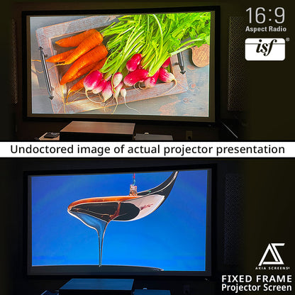 Fixed Frame Movie Projector Screen