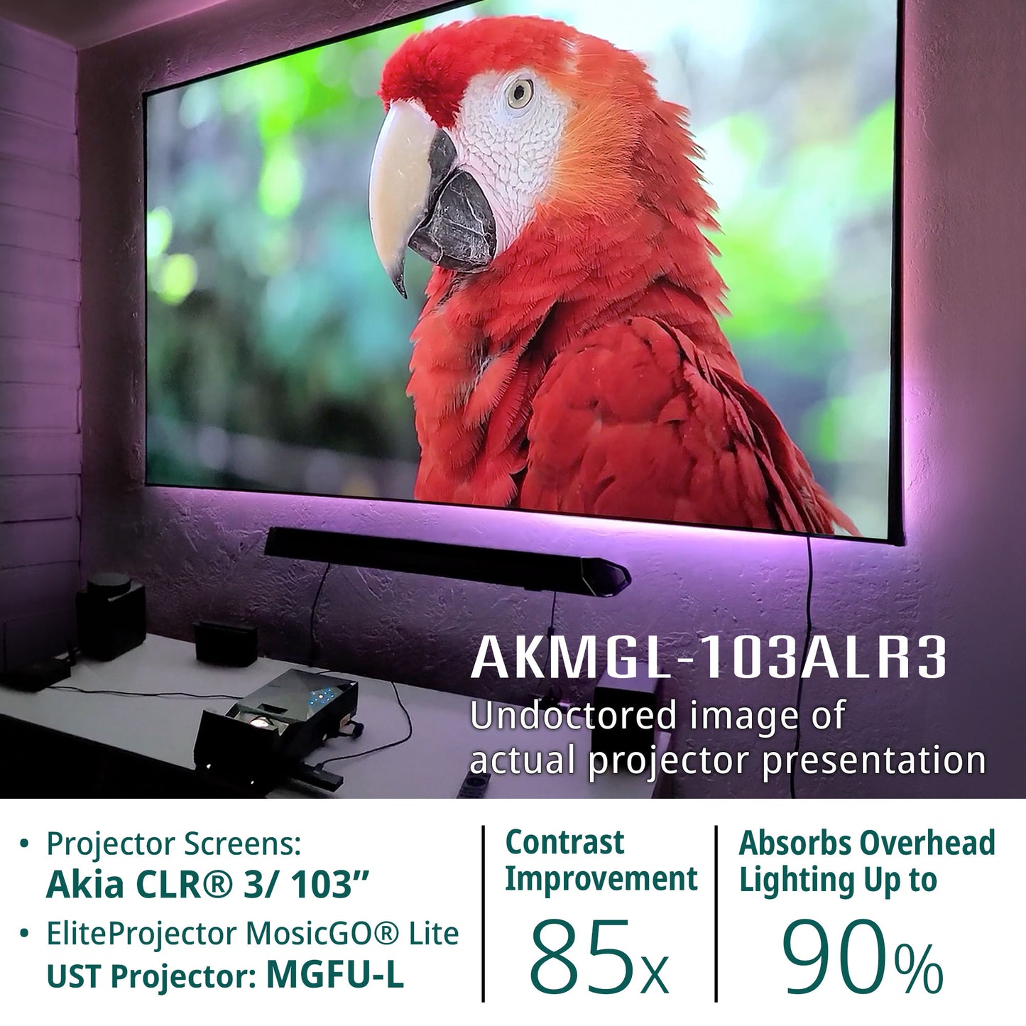 AKIA Screen / EliteProjector UST Projector Bundle (103-inch 16:9 EdgeFree FixedFrame CLR3 Screen and 58-inch Indoor/Outdoor Screen)